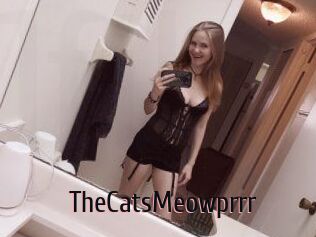 TheCatsMeowprrr