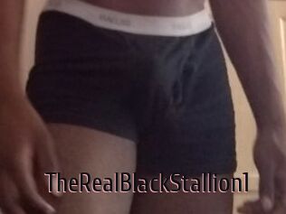 TheRealBlackStallion1