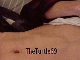 TheTurtle69