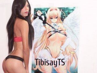 TibisayTS
