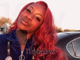 TinyAndrea