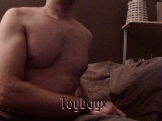 Toyboyx