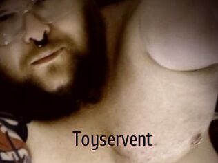 Toyservent 1 film x