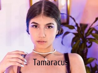 Tamaracus