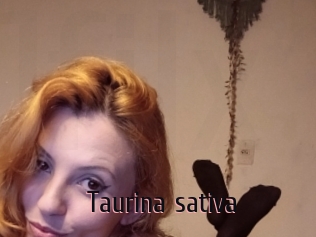 Taurina_sativa