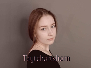 Taytehartshorn