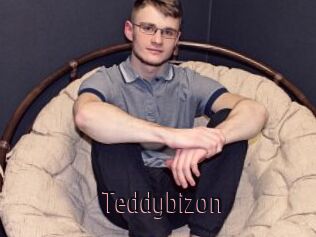 Teddybizon