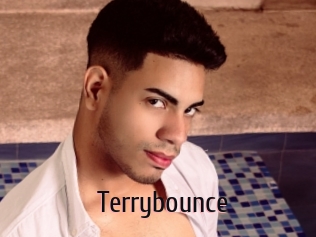 Terrybounce