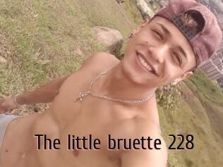 The_little_bruette_228