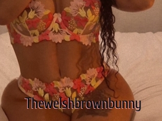 Thewelshbrownbunny