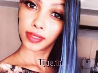 Tijgerin