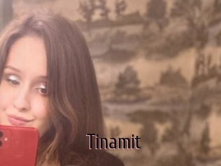 Tinamit