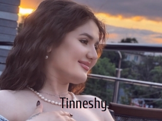 Tinneshy
