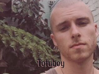 Tofu_boy