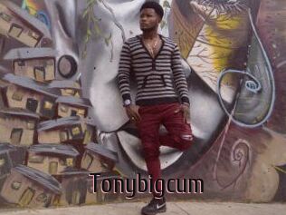 Tonybigcum