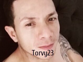 Torvy23