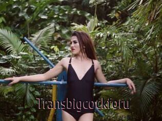 Transbigcockforu