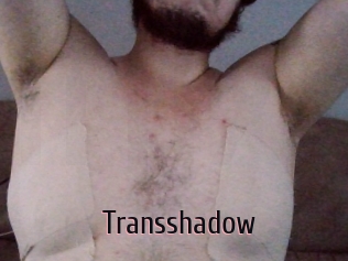 Transshadow