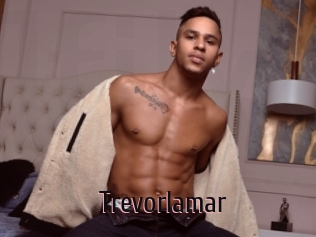 Trevorlamar