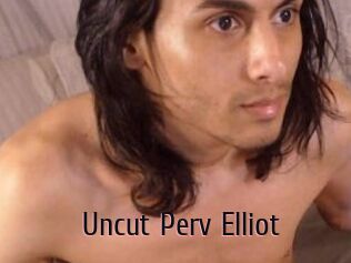 Uncut_Perv_Elliot