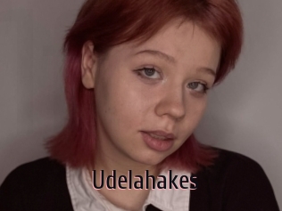 Udelahakes