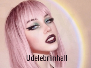 udelebrimhall 1 film x