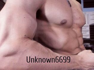 Unknown6699