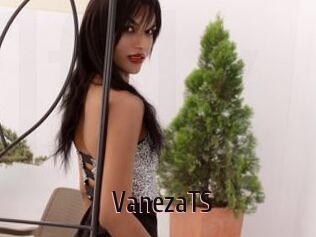 VanezaTS