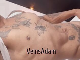 VeinsAdam