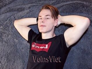 VeinsViet