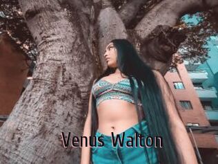Venus_Walton