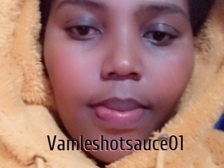 Vamleshotsauce01