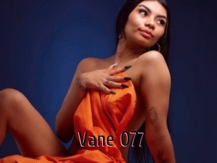 Vane_077