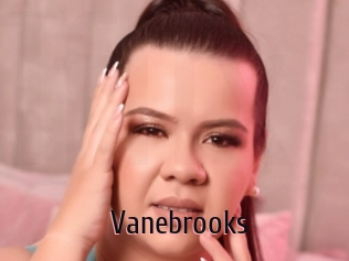 Vanebrooks