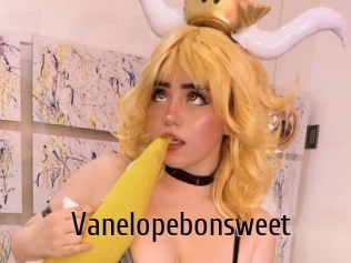 Vanelopebonsweet