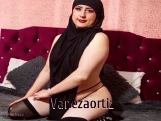 Vanezaortiz