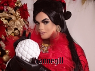 vannegill 1 film x