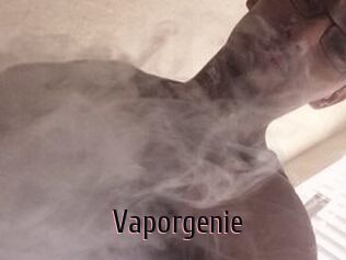 Vapor_genie