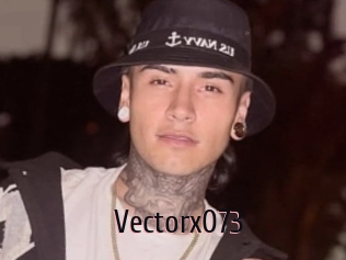 Vectorx073