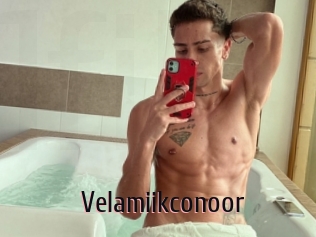 Velamiikconoor