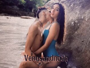 Venusandnoah