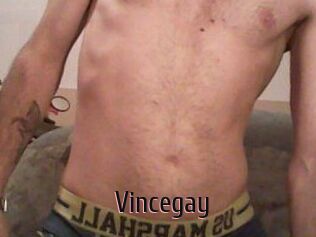 Vincegay