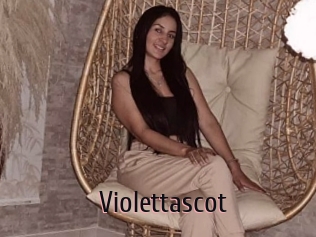 Violettascot