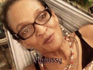Vippussy