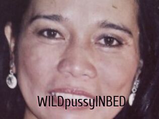WILDpussyINBED