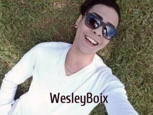 Wesley_Boix