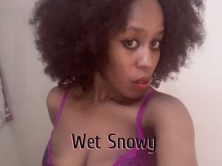 Wet_Snowy