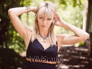 WildScarlet