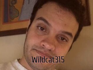 Wildcat315