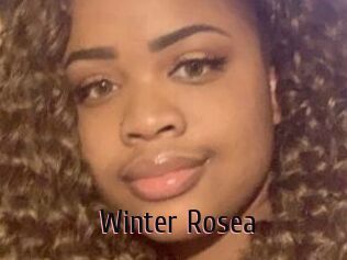 Winter_Rosea